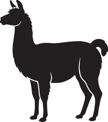 Fototapeta premium Black silhouette of a standing llama in profile view, isolated on a white background, al alpaca animal