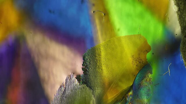 Real time multilayer simultaneous crystal growth observed under polarized light microscope showcasing overlapping mineral terrace formation and complex fluid interference dynamics for study archive