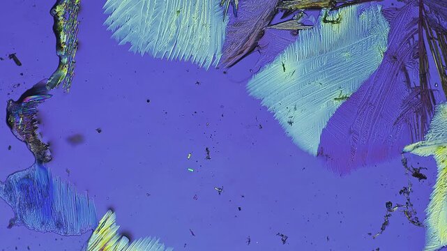 Crystallization nucleation stage under polarized light microscope showing initial crystal embryo growth in liquid solution for chemical science laboratory education research material