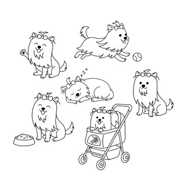 Cute yorkshire terrier yorkie dog line art coloring page character vector set. Happy pet wellness grooming lifestyle aesthetic. Canine care sticker design veterinary merchandise concept.
