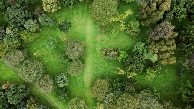 Aerial Drone view Forest area Simon bolivar park trees and grass area Bogota Colombia 4k