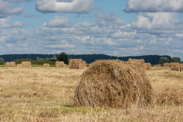 Large hay bale in harvested field with more bales beneath a cloudy sky. Haymaking and agricultural harvest. Rural farming landscape and seasonal crop production. Countryside scenery. © Natalia