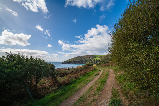 Coastal path winds through greenery towards the sea near Looe, Cornwall, UK