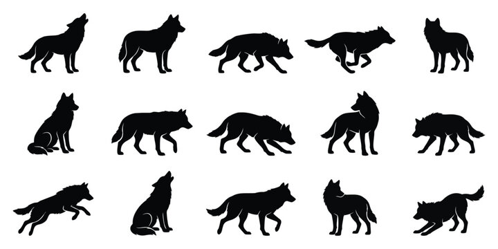 Set of silhouettes of wolves in various poses