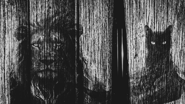 Dramatic double exposure of majestic lion and black cat faces on rustic wood texture background