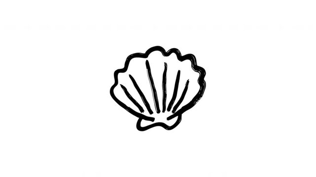 Seashell For Beach Decor And Coastal Travel Content Doodle Animation With Alpha Channel. Shell Symbol And Marine Souvenir. Animated Hand-Drawn Icon For Video Overlay 4K.