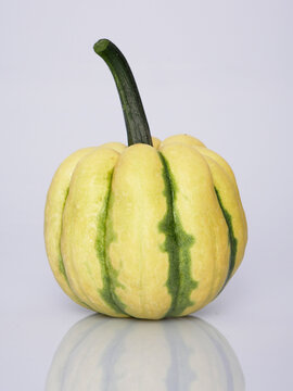 A close-up studio shot shows a small, pale yellow and green striped acorn squash with a dark green stem against a white background. The squash is reflected on a glossy surface below.