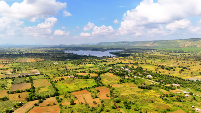 A beautiful agricultural landscape in rural Rajasthan featuring green farmland, water-filled fields and the rugged Aravalli Hills