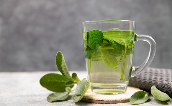 Sage tea hot drink in a glass, fresh green sage leaves, Salvia officinalis, anti inflammatory and antiseptic properties, scratchy throat inflammation, herbal, holistic medicine