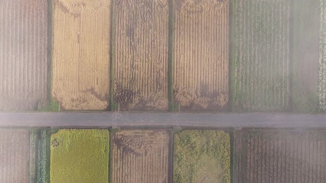 鳥瞰視点で真上から見下ろす霧が立ち込める農業地帯の田畑の等倍速空撮映像（前進・ドリーイン）