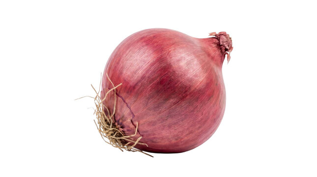Fresh whole red onion isolated on a clean white background for culinary and food photography use