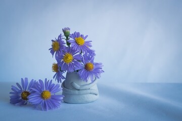Purple prairie aster in vase  Aster Amellus © ramona georgescu