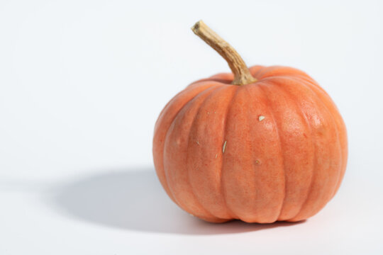 A close-up of an orange pumpkin isolated against a white background. The pumpkin casts a shadow.