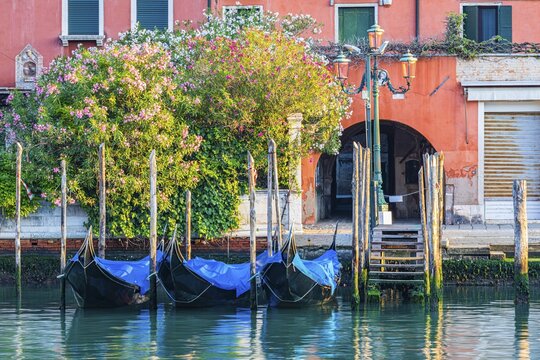 Parking gondolas on the Canale Grande caused by the Corona Pandemic, Venice, Veneto, Italy