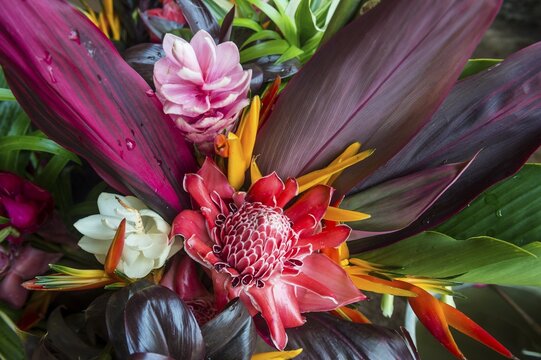 Colourful exotic flowers for sale, Roura, French Guiana