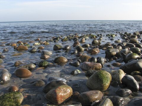 Stones on the beach Ruegen, Mecklenburg-Western Pomerania, Germany