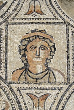 Detail from the Labours of Hercules floor mosaic in the ruined Roman city of Volubilis, Morocco, Africa