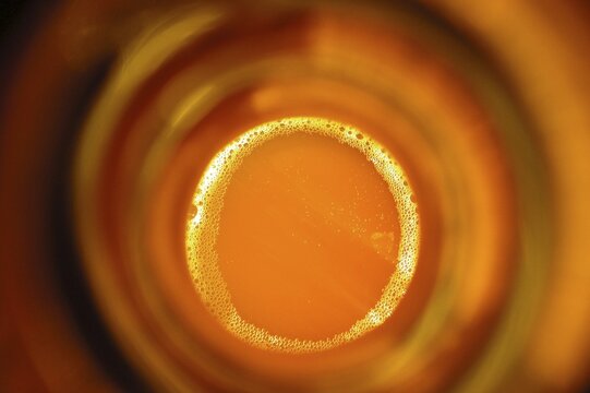 View in a bottle of beer
