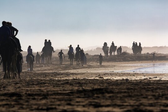 Caravan, group of tourists on camels and horses on the beach, plastic waste in the sand, pollution, backlight, symbolic image, Essaouira, Morocco