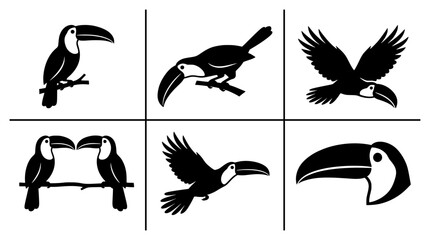 Fototapeta premium Toucan silhouettes set with birds perched and in flight for logo or icon