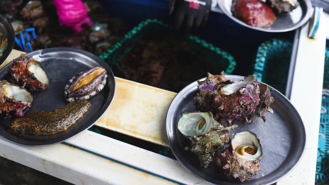Fresh seafood caught by Korean haenyeo divers, Jeju island, Jeju-do, South Korea, horned turban shells (Turbo cornutus, sora), abalone, sea cucumber and sea squirt on plates and grilled on charcoal