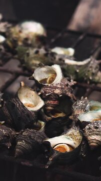 Fresh seafood caught by Korean haenyeo divers, Jeju island, Jeju-do, South Korea, horned turban shells (Turbo cornutus, sora), abalone, sea cucumber and sea squirt on plates and grilled on charcoal