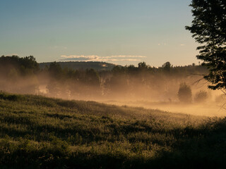 Rural landscape at sunrise with a layer of low-lying fog drifting through a line of trees © Richard
