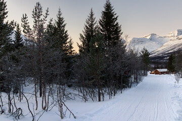 Scenic view of arctic winter landscape with snowmobile track leading to a wooden cabin in Norway © Alberto