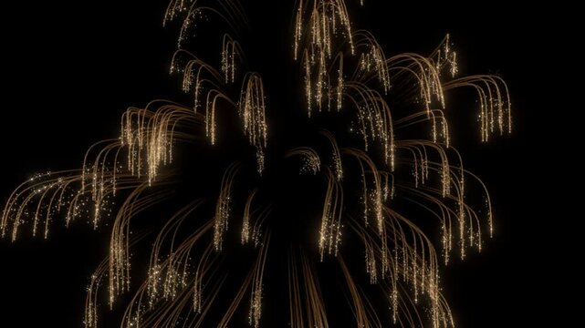 Golden firework exploding on black background, single burst of drooping sparks falling and fading out