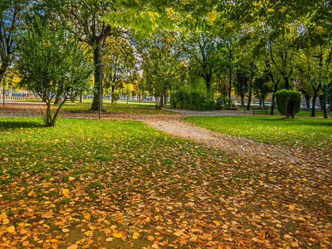 scenic view of a public city park during the autumn season, featuring a lush green lawn covered with vibrant yellow and orange fallen leaves, peaceful walking paths, and sunlit green and golden trees.