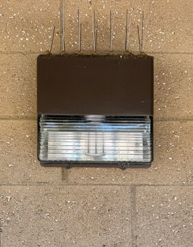 Outdoor lamp with anti-bird spikes on a building wall