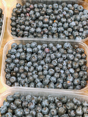 Blueberries in transparent plastic portion containers showcase a nutritious berry with deep blue color, natural antioxidants, vitamins and dietary fiber © Harmony Video Pro