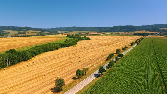Harvested farmland and road beside crop rows in Slovakia. Round straw bales dot a yellow field alongside green planting rows and a tree lined road.