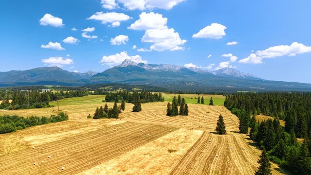 Harvested fields leading toward mountains in Slovakia. Parallel cut rows extend between scattered trees, with a forest and rocky range under white clouds.