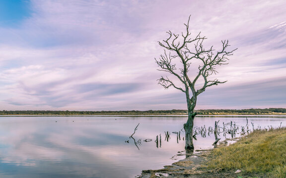 We are witnessing a beautiful sunrise at Laguna Las Moras in San Luis, Argentina. The composition features an old, dead tree set against a range of artistic colors, creating an apocalyptic style.
