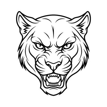 Fierce black and white tiger head illustration.