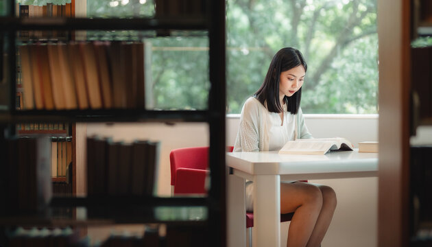 書架の間から見た窓際で本を読む女子大生