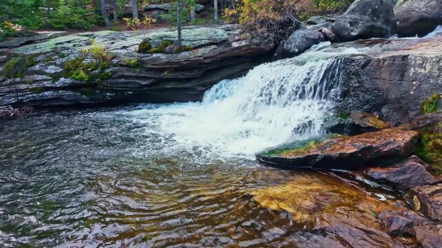 Cascading white water rushes over smooth granite boulders surrounded by dense evergreen pine forests along the scenic Ouzel Falls Trail in Rocky Mountain National Park