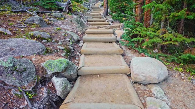 Wooden stairs wind upward through a dense evergreen pine forest along the rugged hiking path on the Ouzel Falls Trail in Rocky Mountain National Park