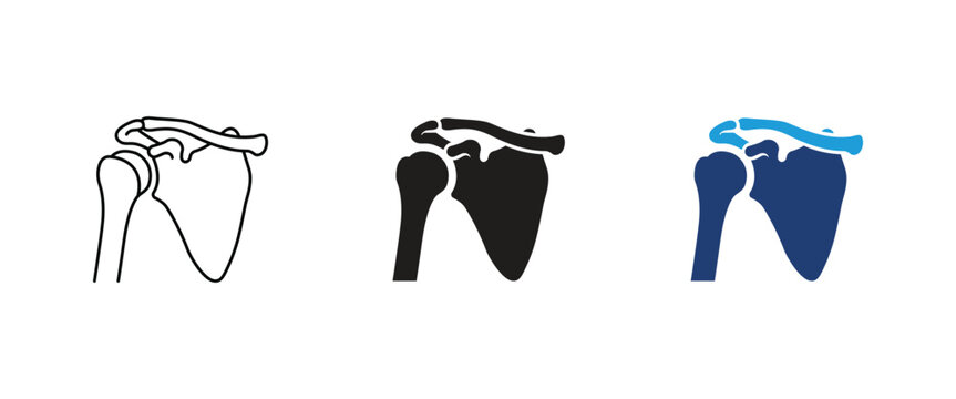 shoulder joint icon set, human bone anatomy vector illustration, orthopedics medical symbol, skeleton structure icon design, health vector