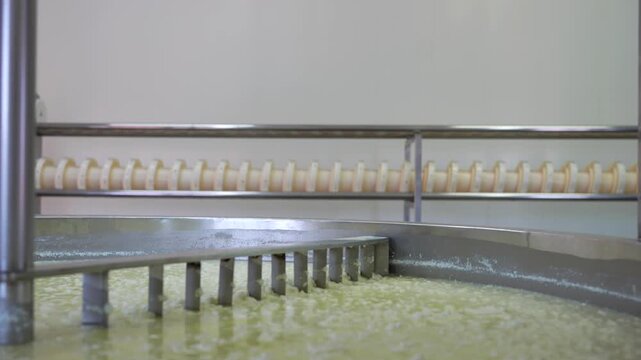 Automated machinery stirring and separating cheese curd from whey in a large steel vat