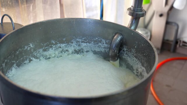 Large stainless steel vat in a dairy factory pouring and mixing fresh milk for cheese production