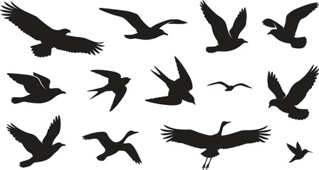 Fototapeta premium Flying bird silhouette collection featuring eagle seagull swallow pigeon crane crane duck and hummingbird wild wildlife elements in flight vector