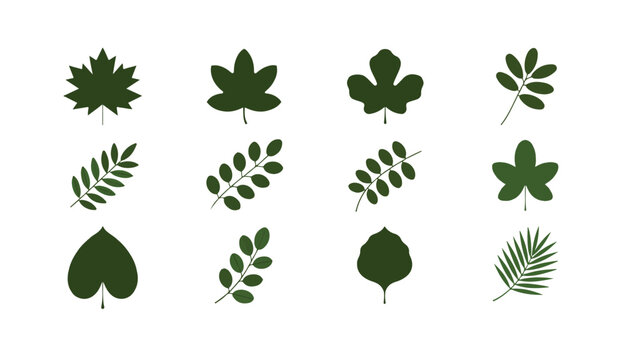 Collection of twelve green leaf silhouettes in different shapes for nature-themed design elements.