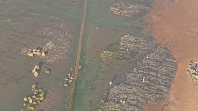 Whitby Abbey headland overlooks an exposed rock platform with tidal water and beach visitors near East Cliff in North Yorkshire, England, drone ascent