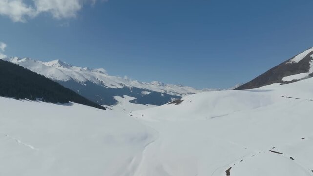 Breathtaking aerial view of snow covered mountain slopes and evergreen pine forest in Grigorievka gorge during bright winter day in Issyk-Kul region of scenic Kyrgyzstan