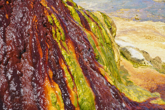 The Burketown Bore is a historic, continually flowing artesian hot spring in QLD Australia