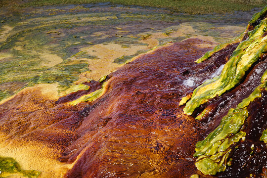 The Burketown Bore is a historic, continually flowing artesian hot spring in QLD Australia