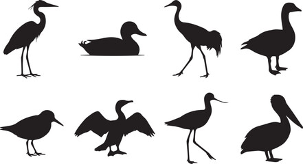 Fototapeta premium Set of Eight Black Bird Silhouettes Including Heron, Crane, Duck, Goose, Cormorant, Pelican and Avocet Vector Illustration