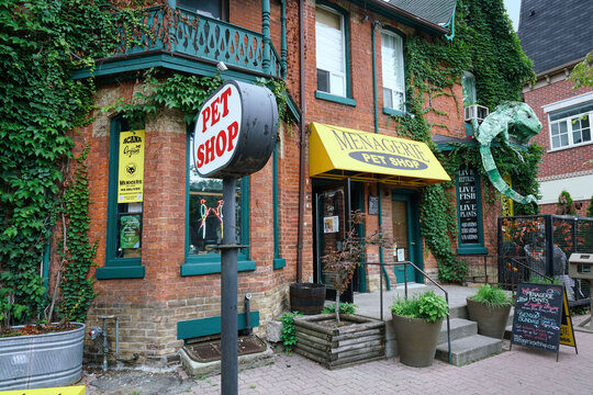 old Victorian house converted into a pet shop